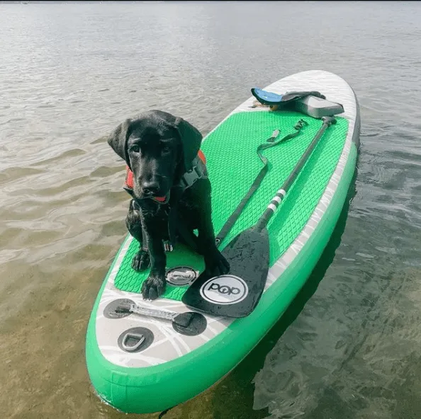 POP Board Co 11' Pop Up Stand Up Paddle Board Inflatable SUP - Green/Black